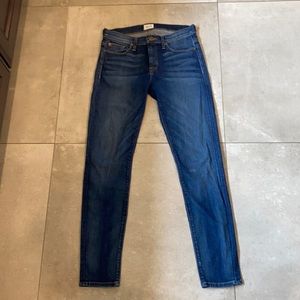 HUDSON Skinny Jean